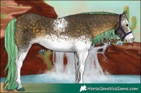 Horse Color:Painted White Spotted Silver Buckskin 