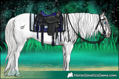 Horse Color:Silver Brown Splash Tobiano Frame Rabicano