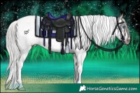 Horse Color:Silver Brown Splash Tobiano Frame Rabicano