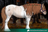 Horse Color:Gold Champagne Roan Tobiano 