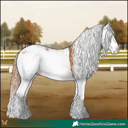 Horse Color:Chestnut Sabino
