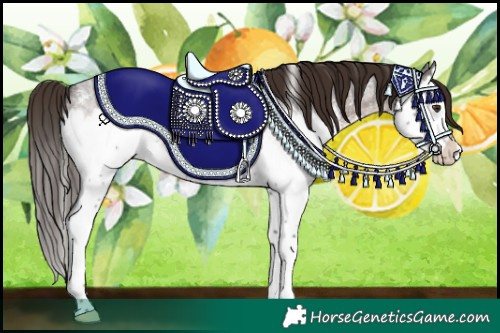 Horse Color:Liver Red Roan Sabino Splash