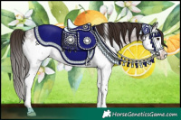 Horse Color:Liver Red Roan Sabino Splash