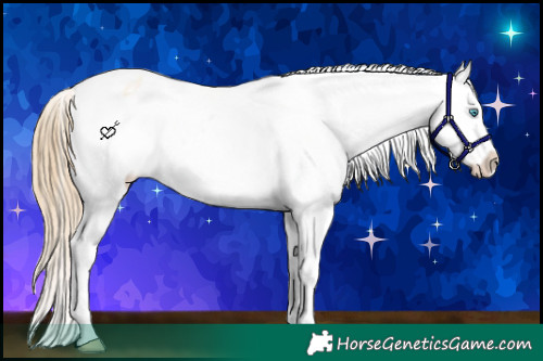 Horse Color:White Spotted Sable Cream Champagne Pearl Tobiano Appaloosa 