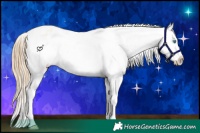 Horse Color:White Spotted Sable Cream Champagne Pearl Tobiano Snowflake Varnish 