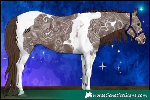 Horse Color:Liver Chestnut Ice Tobiano 