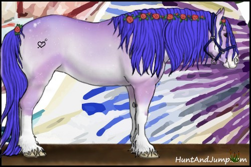 Horse Color:Watercolor Classic Champagne Onyx Appaloosa