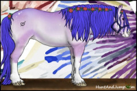 Horse Color:Watercolor Classic Champagne Onyx Appaloosa 