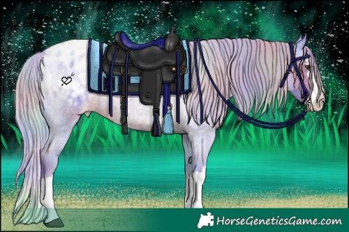 Horse Color:Nacre Watercolor Liver Red Roan Splash Varnish 