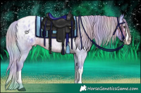 Horse Color:Nacre Watercolor Liver Red Roan Splash Varnish 