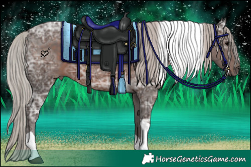 Horse Color:Silver Black Ice Tobiano 