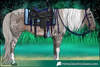 Horse Color:Silver Black Ice Tobiano 
