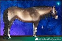 Horse Color:Brown Onyx