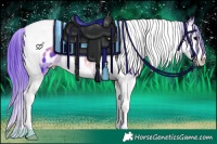 Horse Color:Watercolor Brown Onyx Splash Tobiano Appaloosa 