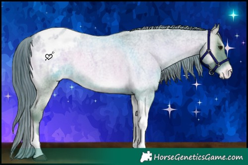 Horse Color:Watercolor Blue Onyx Roan Tobiano Appaloosa 