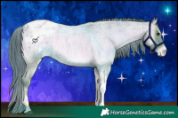 Horse Color:Watercolor Blue Onyx Roan Tobiano Appaloosa 