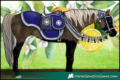 Horse Color:Void Chocolate Palomino Roan Splash