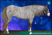 Horse Color:Liver Red Roan 