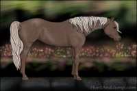 Horse Color:Silver Black 