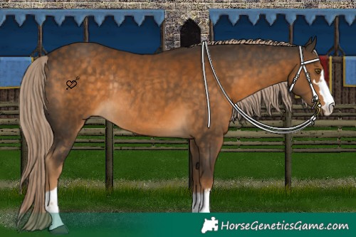 Horse Color:Chocolate Palomino Rabicano