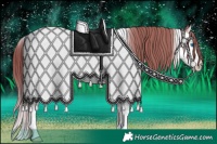 Horse Color:Liver Chestnut Pearl Sabino Splash Tobiano Appaloosa Rabicano