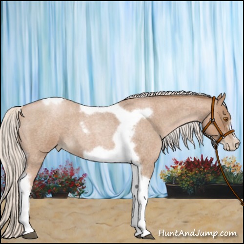 Horse Color:Silver Blue Roan Pearl Tobiano Frame 