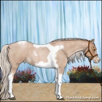 Horse Color:Silver Blue Roan Pearl Tobiano Frame 