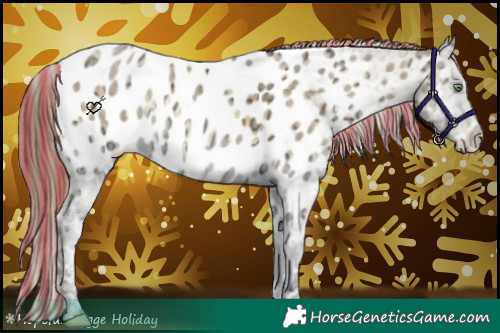 Horse Color:Painted Buckskin Ice Pearl Onyx Appaloosa