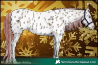 Horse Color:Painted Buckskin Ice Pearl Onyx Appaloosa 