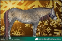 Horse Color:Painted Buckskin Ice Onyx 