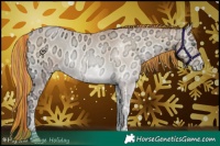Horse Color:Painted Buckskin Ice Pearl Onyx Rabicano 