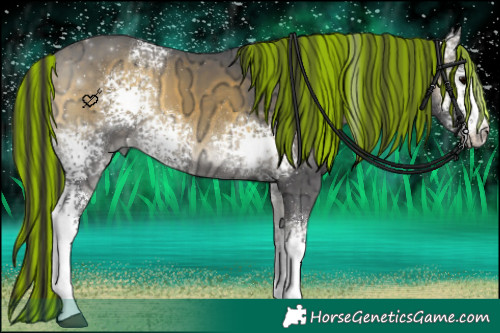 Horse Color:Painted White Spotted Buckskin Ice Onyx 