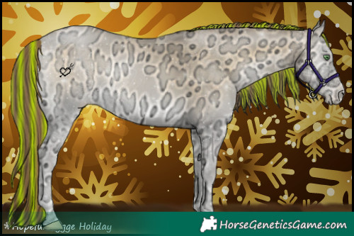 Horse Color:Painted Buckskin Ice Pearl Onyx 