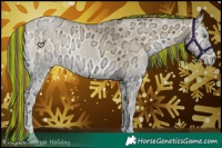 Horse Color:Painted Buckskin Ice Pearl Onyx 