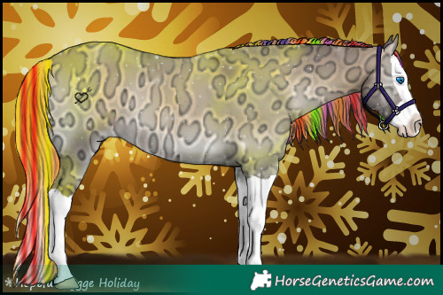 Horse Color:Painted Buckskin Ice Onyx Splash