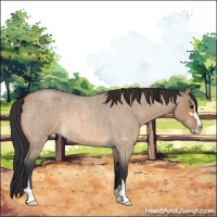 Horse Color:Bay Roan Dun Sabino 