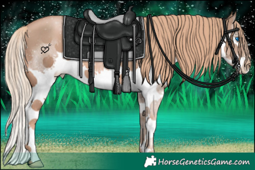 Horse Color:Liver Chestnut Pearl Splash 