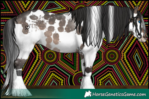 Horse Color:White Spotted Brown Dun Splash