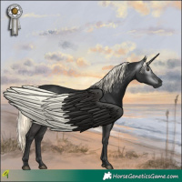 Horse Color:Gray White Spotted Liver Chestnut Mushroom