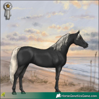Horse Color:Gray White Spotted Liver Chestnut Mushroom 
