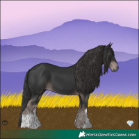 Horse Color:Gray Platinum White Spotted Liver Chestnut