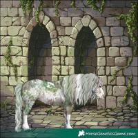 Horse Color:White Spotted Silver Brown Ice Dun Splash Rabicano Brindle 