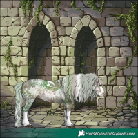 Horse Color:White Spotted Silver Brown Ice Dun Splash Rabicano Brindle 