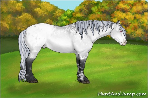 Horse Color:Painted White Spotted Silver Brown Chinchilla Ice Roan Appaloosa 