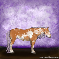 Horse Color:Painted White Spotted Silver Buckskin Ice Rabicano