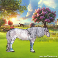 Horse Color:Watercolor White Spotted Silver Brown Ice Roan Dun Rabicano Brindle 