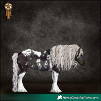Horse Color:White Spotted Midnight Silver Brown Ice Dun Tobiano
