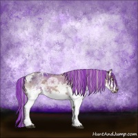 Horse Color:Painted White Spotted Chocolate Silver Brown Ice Roan Dun Rabicano 