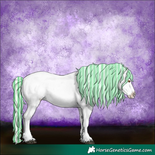 Horse Color:Painted Watercolor White Spotted Silver Black Chinchilla Ice Appaloosa 