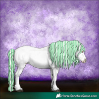 Horse Color:Painted Watercolor White Spotted Silver Black Chinchilla Ice Appaloosa 